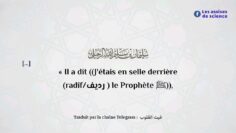 Privé : [ID: Coq-ZUZkuno] Youtube Automatic