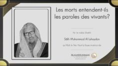 Privé : [ID: mD21xlI4FTc] Youtube Automatic