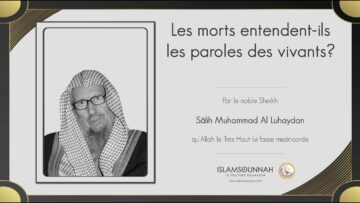 Privé : [ID: mD21xlI4FTc] Youtube Automatic