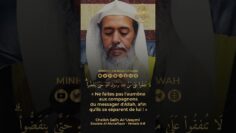 Privé : [ID: Nap63rTQu64] Youtube Automatic