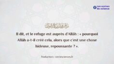 Privé : [ID: QEM-uPwVZl0] Youtube Automatic