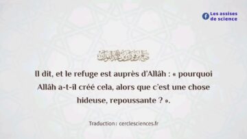 Privé : [ID: QEM-uPwVZl0] Youtube Automatic