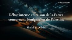 Privé : [ID: Zc4wX8Zg29Y] Youtube Automatic