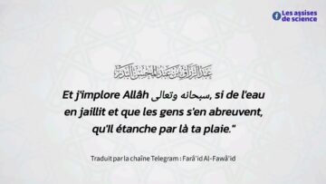 Privé : [ID: 2AQk7p3UBKI] Youtube Automatic