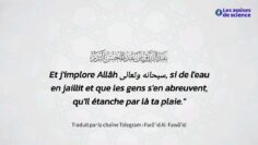 Privé : [ID: CR9j_zw2zME] Youtube Automatic