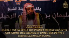 Privé : [ID: h_ft6l97ZgA] Youtube Automatic