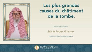 Privé : [ID: QVXl5H8NeH8] Youtube Automatic