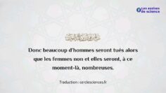 Privé : [ID: sAPxdKdKN7s] Youtube Automatic