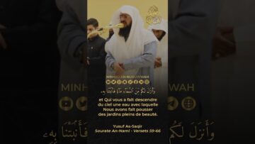 Privé : [ID: thP_jJZX4Xw] Youtube Automatic