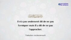 Privé : [ID: Xieu4q-hOck] Youtube Automatic