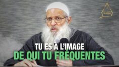 Privé : [ID: zA9Cyf0tnYE] Youtube Automatic