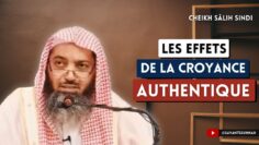 Privé : [ID: B-keLdus_Vc] Youtube Automatic