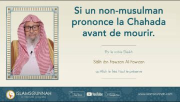 Privé : [ID: ESulOO7185w] Youtube Automatic