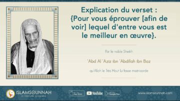 Privé : [ID: Gsf_RjRp62E] Youtube Automatic