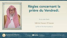 Privé : [ID: TaXVRR3WHn8] Youtube Automatic