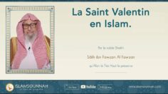 Privé : [ID: zyD11J0dcHs] Youtube Automatic