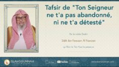 Privé : [ID: 3QJNPKI5uE8] Youtube Automatic