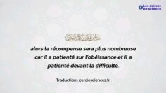 Privé : [ID: J9vG_holvTI] Youtube Automatic