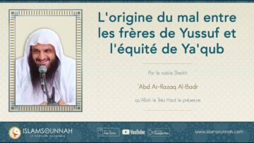 Privé : [ID: mYf3uY1q6No] Youtube Automatic