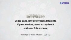 Privé : [ID: pY_Lq_9QcdY] Youtube Automatic