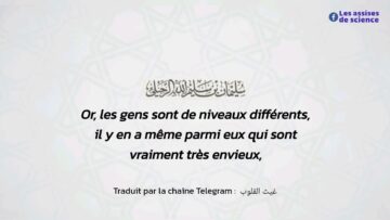 Privé : [ID: pY_Lq_9QcdY] Youtube Automatic