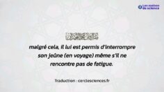 Privé : [ID: qjXo_JY37go] Youtube Automatic