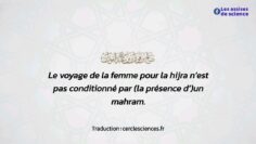 Privé : [ID: TLdjkRZmtzY] Youtube Automatic