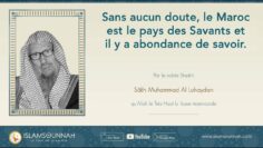 Privé : [ID: 8qemy8eE3BA] Youtube Automatic