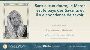 Privé : [ID: 8qemy8eE3BA] Youtube Automatic