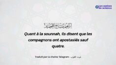 Privé : [ID: c655tr-UptU] Youtube Automatic