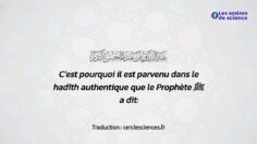 Privé : [ID: EcP2LQj7Brg] Youtube Automatic