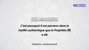 Privé : [ID: EcP2LQj7Brg] Youtube Automatic