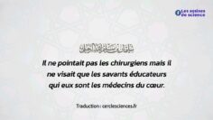 Privé : [ID: FbKWSKk6R0Y] Youtube Automatic