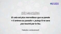 Privé : [ID: KMImlOeP0dU] Youtube Automatic