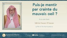 Privé : [ID: Nnp046vrpc4] Youtube Automatic