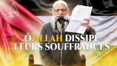 Privé : [ID: o6EoDGBYVAQ] Youtube Automatic