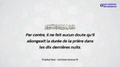 Privé : [ID: uR8vlAbs2qQ] Youtube Automatic