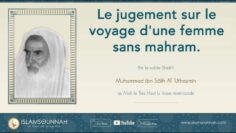 Privé : [ID: 2Z-LDN-JjA8] Youtube Automatic