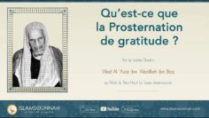 Privé : [ID: AsBsKSiBZw8] Youtube Automatic