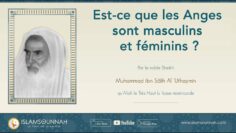 Privé : [ID: lVceF193pwc] Youtube Automatic