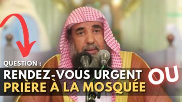 Privé : [ID: PQjprtF6qEg] Youtube Automatic