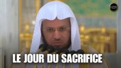 Privé : [ID: pZKqsqF-C7A] Youtube Automatic