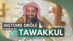 Privé : [ID: rrdT6ah7sQE] Youtube Automatic