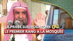 Privé : [ID: jEfSwLobN0E] Youtube Automatic