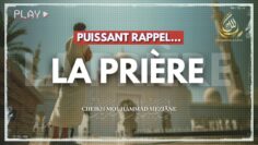 Privé : [ID: jRVTGp5jD8o] Youtube Automatic