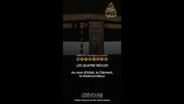 Privé : [ID: nnTDQa2QaEU] Youtube Automatic