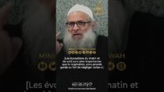 [ID: 8qo5gPqt7cM] Youtube Automatic