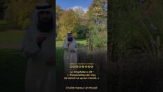 [ID: Um-sV6K1NuI] Youtube Automatic