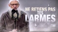 Privé : [ID: mCTk6wrw-vg] Youtube Automatic