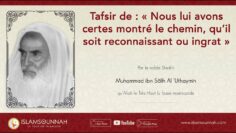 Privé : [ID: niOtIlZ1TaI] Youtube Automatic